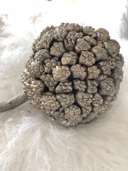 Kiya Frucht Ball, silber gold Dekorationsball mit Naturfrüchten Dekoball