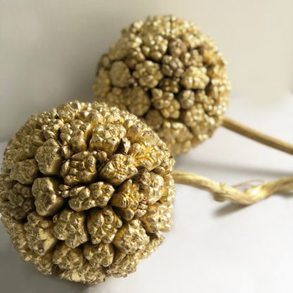 Kiya Frucht Ball gold Dekorationsball mit Naturfrüchten Dekoball NATURBALL DEKOBALL WEIHNACHTSDEKORATION WEIHNACHTEN