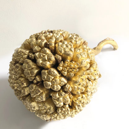 Kiya Frucht Ball gold Dekorationsball mit Naturfrüchten Dekoball NATURBALL DEKOBALL WEIHNACHTSDEKORATION WEIHNACHTEN