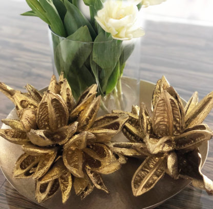 EXOTISCHE TROCKENBLUME SOROROCA Head Strelitzie Blume BLÜTE getrocknet gold Glitter Deko-Blume gold Trockenblume Dekoration festliche Tischdekoration