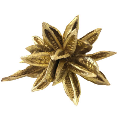 EXOTISCHE TROCKENBLUME SOROROCA Head Strelitzie Blume BLÜTE getrocknet gold Glitter Deko-Blume gold Trockenblume Dekoration festliche Tischdekoration