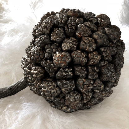 Dekoball Naturball Kiya Frucht schwarz Lata twist bronze Naturkranzball aus getrockneten Früchten Dekoball Kugel aus Kiyafrüchte