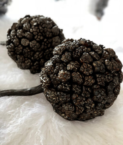 Dekoball Naturball Kiya Frucht schwarz Lata twist bronze Naturkranzball aus getrockneten Früchten Dekoball Kugel aus Kiyafrüchte