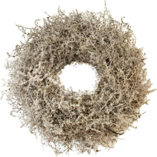 Kranz Asparagus beige light brown gewachst 35 cm sehr edel Türkranz Tischkranz Wandkranz Adventskranz Osterkranz