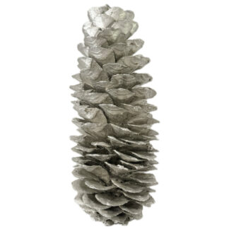 Tannenzapfen Zapfen Pinie Eichel silber platinum XXL 25-30 cm Naturprodukt Herbst- und Weihnachtsdekoration