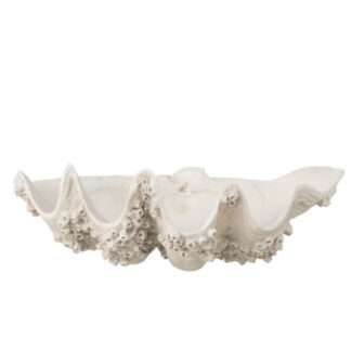 Deko-Schale Muschel weiß beige groß Muschelschale Deko Schale Muschel Sommerdekoration Landhaus Strand Meer Meerestiere Syltstil