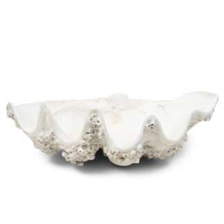 Deko-Schale Muschel weiß beige groß Muschelschale Deko Schale Muschel Sommerdekoration Landhaus Strand Meer Meerestiere Syltstil Riviera Maison