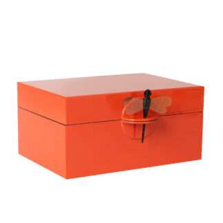Schmuckbox Deko-Box orange Dragonfly aus Lack von Oi soi oi edel Schmuckschatulle mit Deckel und mit einer Libelle aus Horn Schmuckschatulle Schmuckschachtel Box aus Klavierlack fürs Badezimmer Aufbewahrung für Schmuck und Utensillien Dekoration must haves Muttertag