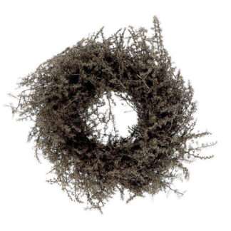 Kranz Asparagus braun bronze gewachst 30 cm edel Weihnachtskranz Türkranz Tischkranz HBX Weihnachtsdekoration